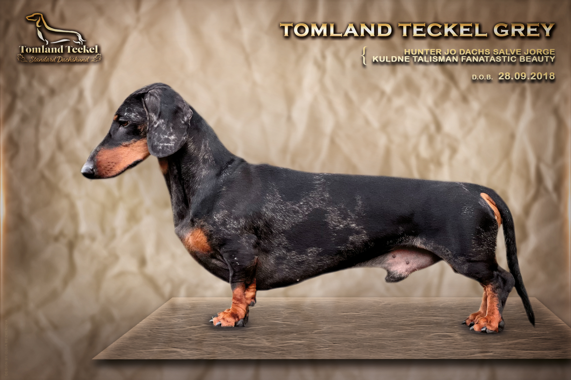 Tomland Teckel Grey