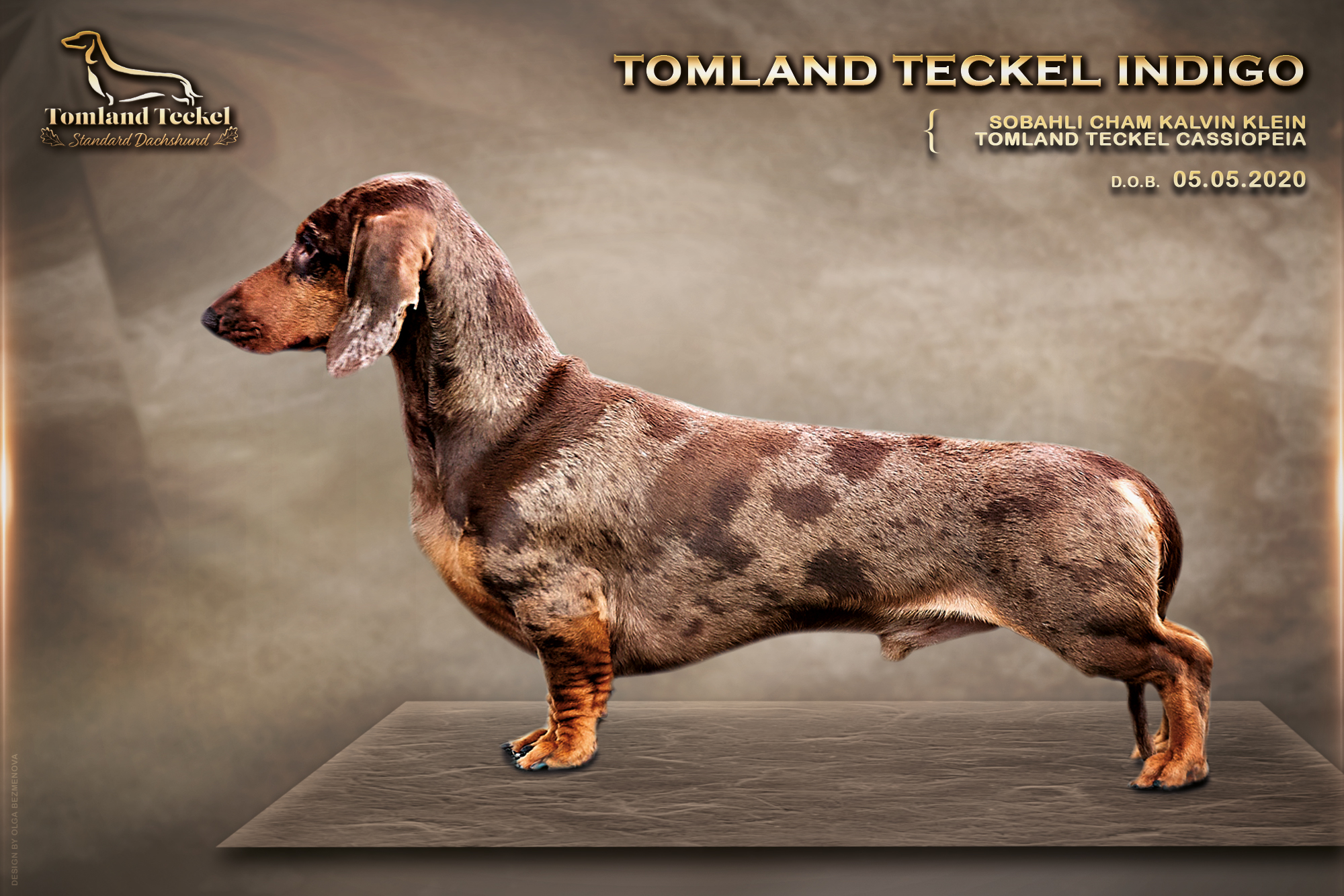 Tomland Teckel Indigo