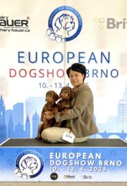 486435790_9527858490613047_9188238295774634348_n (1)