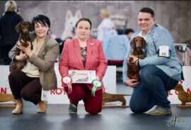 488498842_9473822936016603_18876622227522693_n