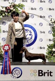 490104098_9527788270620069_6426089118364830035_n