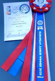 490653455_9533759470022949_3130644312494135664_n