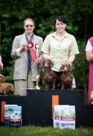 519420080_24026530016985987_292030627537508157_n