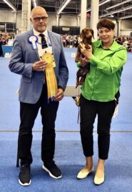 532051655_24232679123037741_2061691850523882548_n