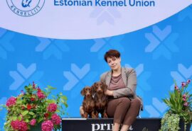 536269018_24299597906345862_9056965449614874460_n