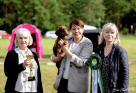 536284774_24333892232916429_9178294628261239506_n