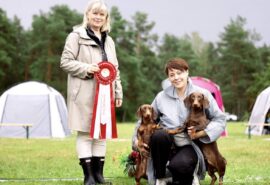 539098172_24333893449582974_976705534544207948_n