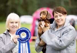 540184983_24333892872916365_7956293567957658168_n