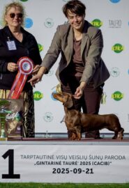 554684700_24568327989472851_1510831773856268517_n