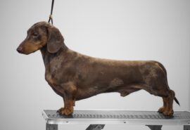 561906261_24876047012007040_8357876116457465193_n