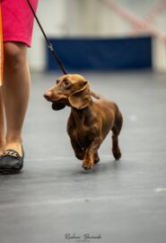 564601386_24749356221370026_2391097659897965510_n