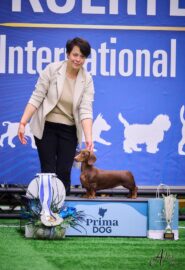 565810336_24837064325932548_4969391192246007592_n