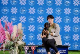 566195406_24810846651887649_569152194187678709_n (1)