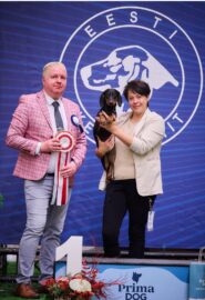 566210380_24837129355926045_5752239527547728904_n