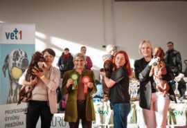 584787824_25109652988673679_6644456251281326803_n