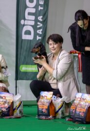 587035493_25141993818772929_1224553509538662229_n