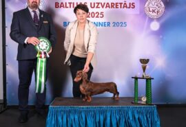 587105006_25142023135436664_2221265778226412776_n