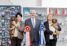 598028772_25303544235951219_587289943962918216_n