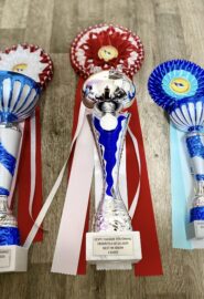 598326151_25303544192617890_6561495806010381267_n