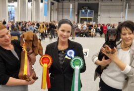 598567265_25313547941617515_7108672760849836758_n