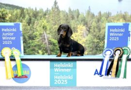 598801822_25313547768284199_7330459414615610335_n