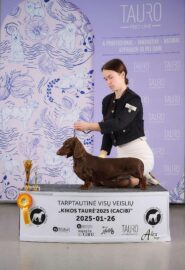 600142364_25303088315996811_6457396326176745842_n