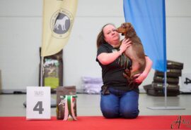 600215587_25303088269330149_4920894204875474004_n