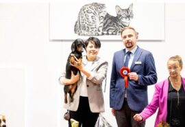 607899197_25455615314077443_1274858717737000538_n