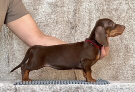 634101292_25854495474189423_7786730112974106819_n 634101292_25854495474189423_7786730112974106819_n