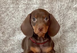 634126942_25854495760856061_6581300137228973556_n 634126942_25854495760856061_6581300137228973556_n