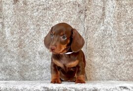 634535072_25854529130852724_1332209454613583110_n 634535072_25854529130852724_1332209454613583110_n