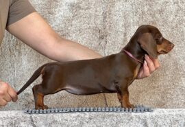 636792853_25854476854191285_8374455664305089066_n 636792853_25854476854191285_8374455664305089066_n